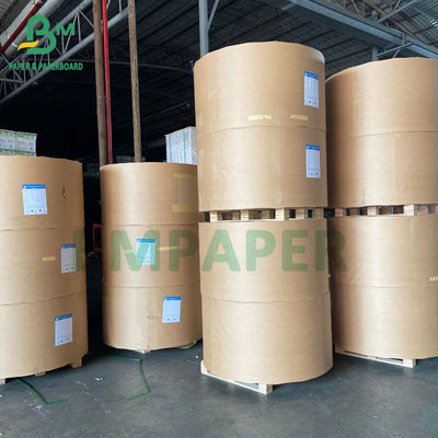 OEM ODM White Cup Stock Paper Board PE المغلفة بورق الكوب الورقي السلطانية