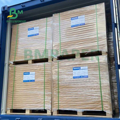270GSM C2S الورق الأبيض المتطاطى للمجلة يغطي 685mm X 990mm صلابة عالية