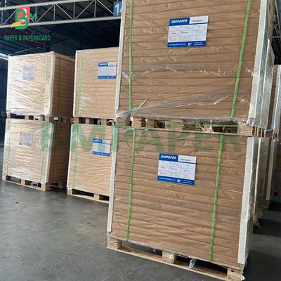 270 غرام بطاقة FBB عالية الحجم لصندوق الأدوية 600 × 900 مم مقاومة للطي