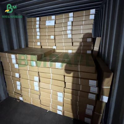 80gr الورق الوسيع النموذج PLOTTER ROLLO BOND لرسومات CAD 0.61 × 50MT