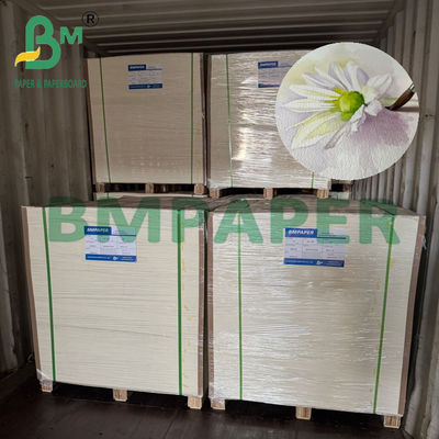 200/230/300gr الورق الطبيعي الأبيض لون الماء للطباعة الفنية A4 A3