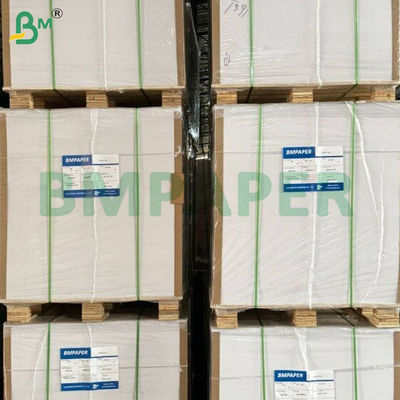 250+15 جرام ورق قاعدة أكواب مقاومة للتسرب مغلفة بطبقة واحدة من البولي إيثيلين