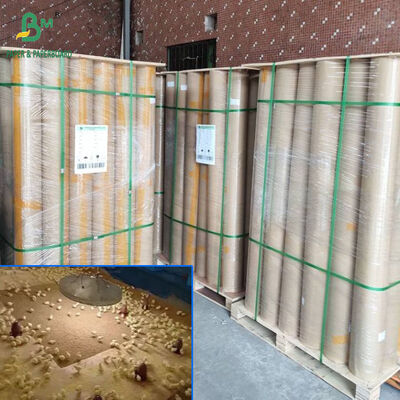 ورق دجاج ماص بني بوزن 40 إلى 110 جرامًا للمتر المربع بعرض 34 و 36 بوصة