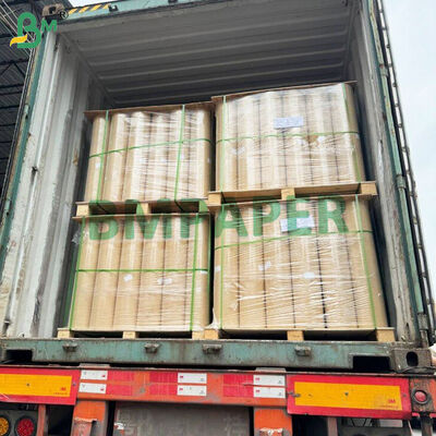 Kraft Paper Floor Litter For Baby Chicks Absorbent, Biodegradable & Safe Bedding