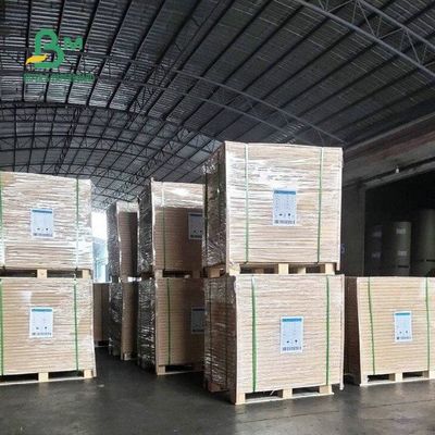 60G 70G 80G 90G غير مصقول عادي أبيض Woodfree طباعة أوفست ورقة 24 * 38 &quot;