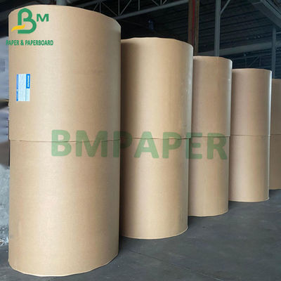 120gsm 160gsm كأس الأوراق المالية ورقة المجلس PE المغلفة جانب واحد 10g 12g 15g 18g 20g