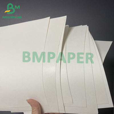 120gsm 160gsm كأس الأوراق المالية ورقة المجلس PE المغلفة جانب واحد 10g 12g 15g 18g 20g