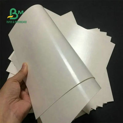 الغذاء الصف 260 + 15 PE ورقة كأس المغلفة ورقة بيضاء لكوب القهوة