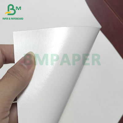 OEM ODM White Cup Stock Paper Board PE المغلفة بورق الكوب الورقي السلطانية