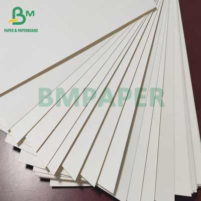 OEM ODM White Cup Stock Paper Board PE المغلفة بورق الكوب الورقي السلطانية