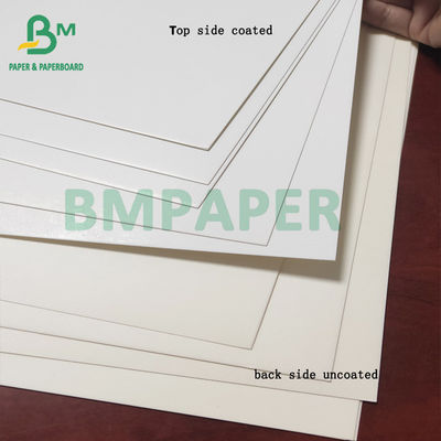 لفة ورق الفريزر الغذاء الصف ، ورق مقوى C1S 350gsm طلاء أبيض