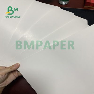 210gsm 230gsm C1S ورق مقوى صلبة قابلة للطي 700 مم × 1000 مم
