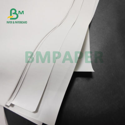 ورق حراري 55gsm جامبو رول لطابعات نقاط البيع 565 مم × 6000 م