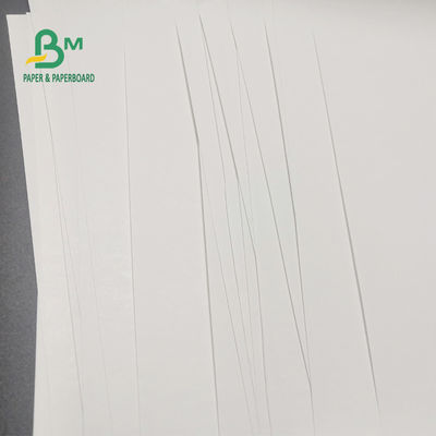 لفة ورق حراري مجاني 65gsm BPA لتسجيل النقدية صورة واضحة 600 مم × 9000 م