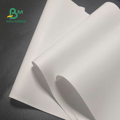 لفة ورق حراري مجاني 65gsm BPA لتسجيل النقدية صورة واضحة 600 مم × 9000 م