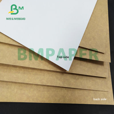 325gsm CCK كلاي مغلف بورق كرافت خلفي مقاوم للرطوبة لطي علب الكرتون