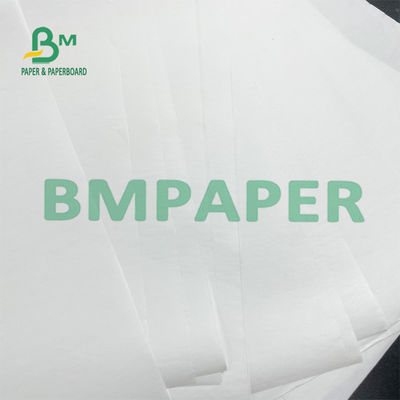 Back Print Thermal BPA Free Paper Rolls 48g للحصول على تذكرة صغيرة