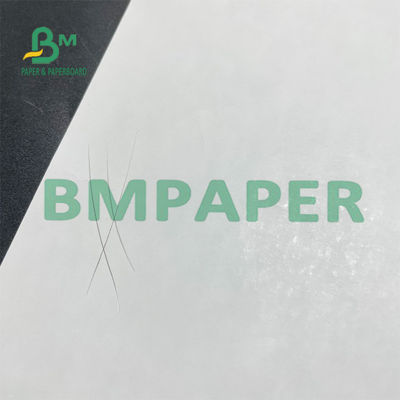 Back Print Thermal BPA Free Paper Rolls 48g للحصول على تذكرة صغيرة