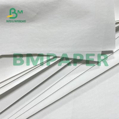 Back Print Thermal BPA Free Paper Rolls 48g للحصول على تذكرة صغيرة