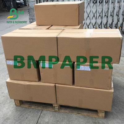 Back Print Thermal BPA Free Paper Rolls 48g للحصول على تذكرة صغيرة