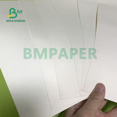 230gsm + 18gsm كأس الأوراق المالية ورقة آمنة لا رائحة التخصص لأوعية المعكرونة