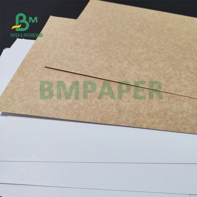 325gsm ورق الكرافت المطلي باللون الأبيض الموحد لتعبئة الخبز 70 × 100 سم