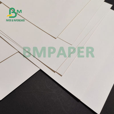 230gsm + 15 PE مات ورقة كأس مغلفة كأس للمشروبات الساخنة 882 مم