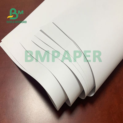 ورق غير مصقول Woodfree 50gsm 53gsm 55gsm لصفحات المفكرة في لفة
