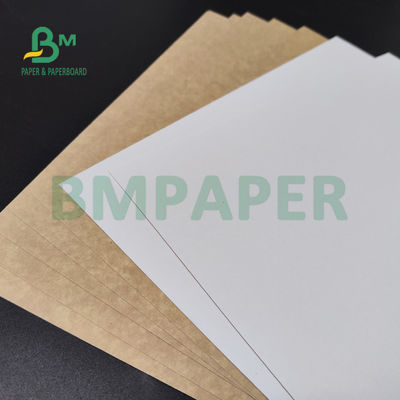 250gsm 300gsm C1S كرافت الظهر المغلفة مزدوجة المجلس لسلطة صندوق الغذاء الآمن