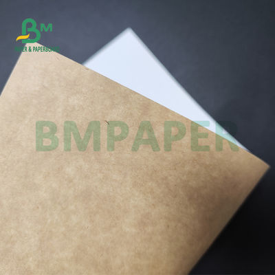 250gsm 300gsm C1S كرافت الظهر المغلفة مزدوجة المجلس لسلطة صندوق الغذاء الآمن