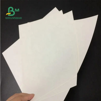 ورق كرافت أبيض فيرجن 24 × 35 بوصة 150gsm 170gsm 190gsm للأكياس الورقية