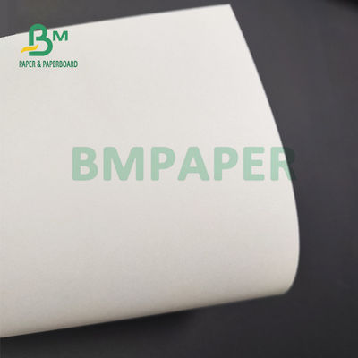 ماء 1 PE 2 PE مغلفة مجلس Cupstock للقهوة مقهى صديقة للبيئة 900mm