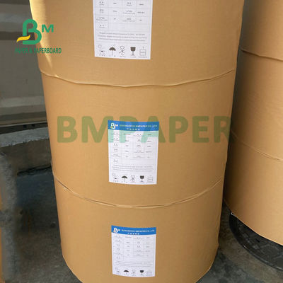 ماء 1 PE 2 PE مغلفة مجلس Cupstock للقهوة مقهى صديقة للبيئة 900mm