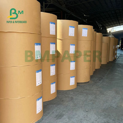 ماء 1 PE 2 PE مغلفة مجلس Cupstock للقهوة مقهى صديقة للبيئة 900mm