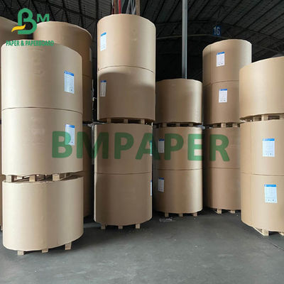 FBB SBS Ivory Board 200gsm إلى 400gsm 750mm 900mm Jumbo Rolls