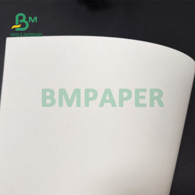 210gsm + 15g PE مغلفة الورق المقوى للأكواب الورقية الغذاء الصف 882mm