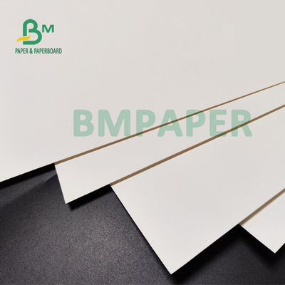 210gsm + 15g PE مغلفة الورق المقوى للأكواب الورقية الغذاء الصف 882mm
