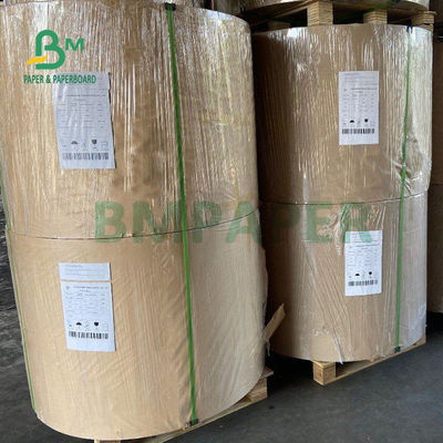 210gsm + 15g PE مغلفة الورق المقوى للأكواب الورقية الغذاء الصف 882mm
