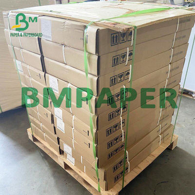 55 لفات ورق طابعة الإيصالات الحرارية GSM BPA مجانًا لنقاط البيع