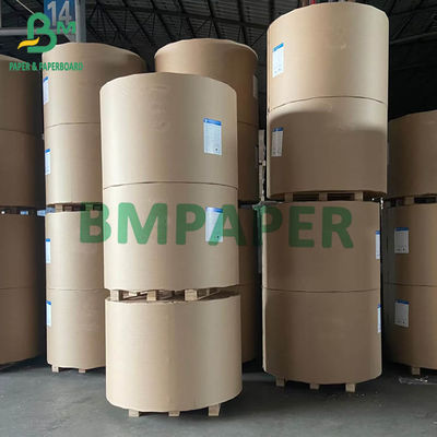 230gsm 250gsm 300gsm CCNB الورق المقوى مع سطوع عالي البياض رمادي الظهر