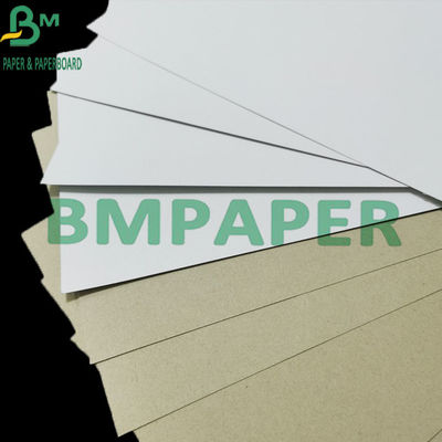التعبئة والتغليف 300gsm لوحة مغلفة على الوجهين مع ظهر رمادي C1S مكافحة الضفيرة