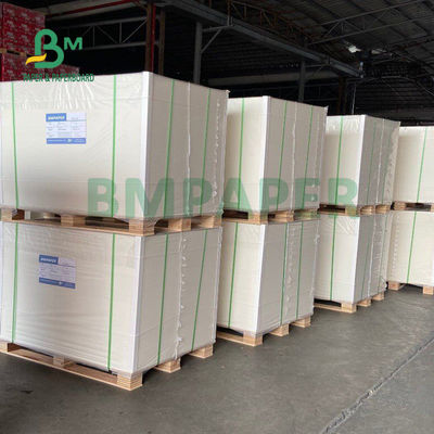 الغذاء الصف 135gsm + 10gsm PE المغلفة ورقة كأس لمعان وإنهاء مات