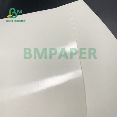 الغذاء الصف 135gsm + 10gsm PE المغلفة ورقة كأس لمعان وإنهاء مات