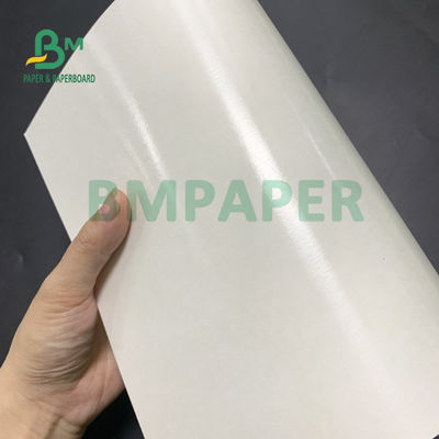 الغذاء الصف 135gsm + 10gsm PE المغلفة ورقة كأس لمعان وإنهاء مات