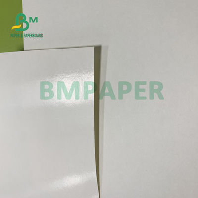 150gsm + 20gsm Ploy Coated Cup Paper Stock ورق دائم 710mm X 900mm
