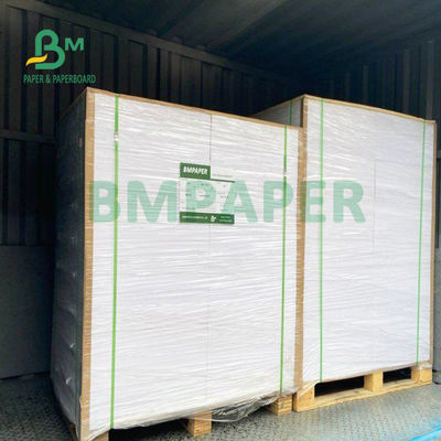 210gsm + 15gsm كأس PE ورقة مغلفة بسطوع جيد 615 مم × 850 مم