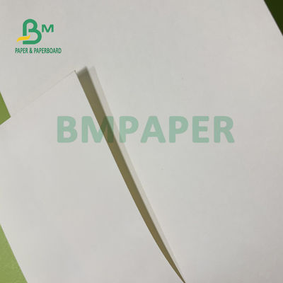 210gsm + 15gsm كأس PE ورقة مغلفة بسطوع جيد 615 مم × 850 مم