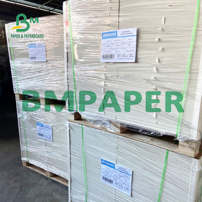 240250 GSM ورق الكبستوك متعدد الطبقات لصواني الطعام الجاف