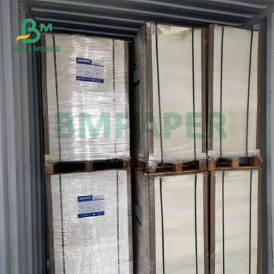 230gsm + 15gsm المتانة PE المغلفة ورقة كأس الأسهم لوعاء الحساء 560mm X 700mm