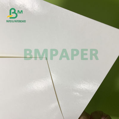 230gsm + 15gsm المتانة PE المغلفة ورقة كأس الأسهم لوعاء الحساء 560mm X 700mm